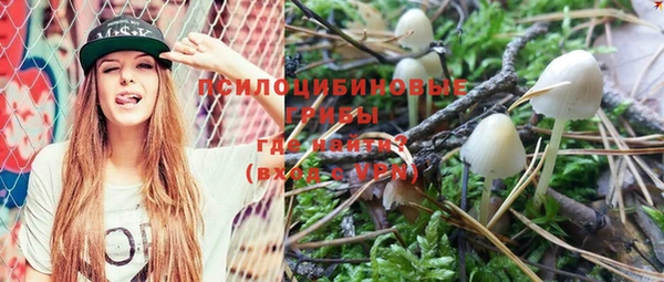 PSILOCYBIN Богородск