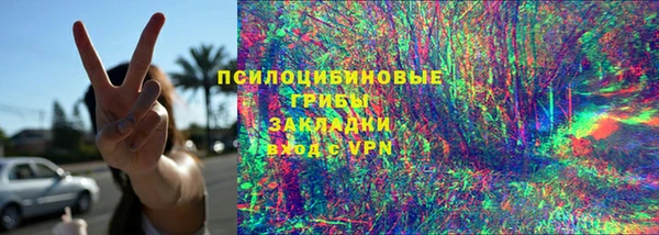 таблы Богородицк