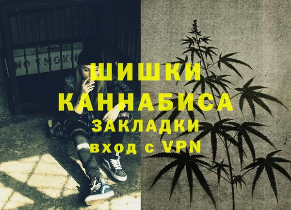 PSILOCYBIN Богородск